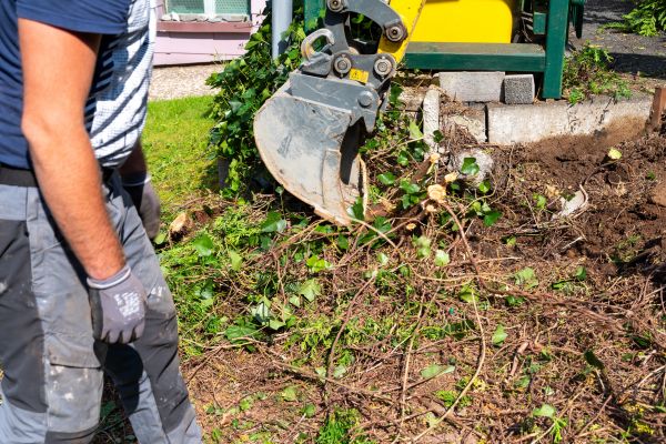 Hedge Removal Service in Sanford