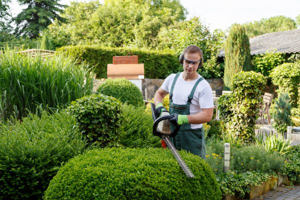 Shrubs Trimming in Sanford