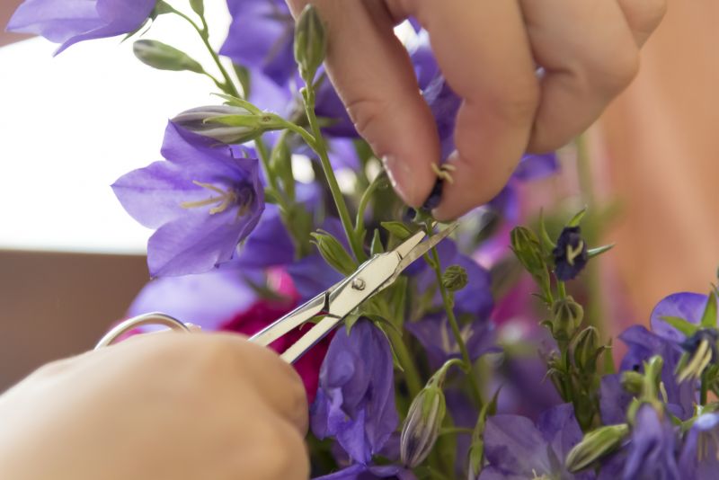 Lilac Trimming Service