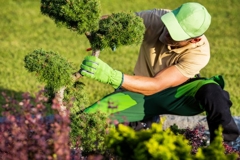 Landscaper Shaping a Bush
